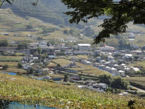 ぶどうの丘から眺めた勝沼ぶどう郷駅方面。周囲はぶどう棚が広がっています